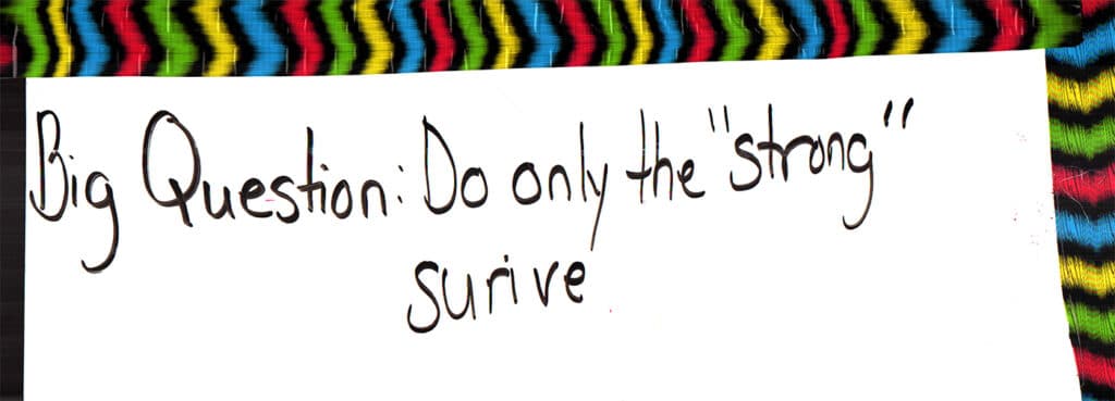 Jay Wolke, Comer Middle School, Middle Schools, Southside Schools, 2018,