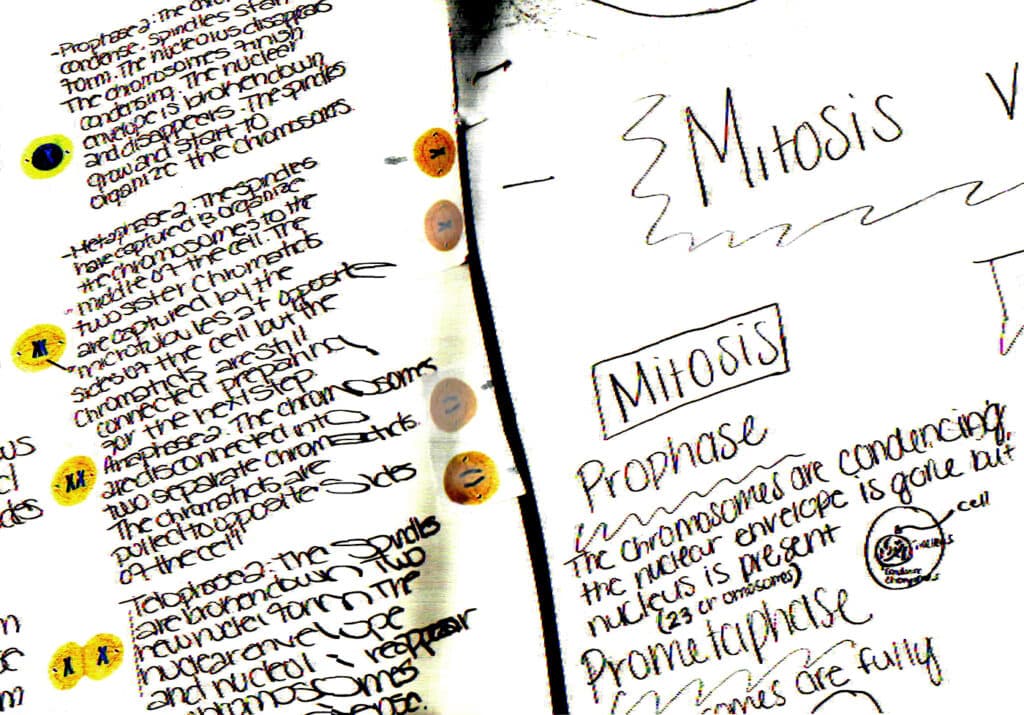 Jay Wolke, Comer Middle School, Middle Schools, Southside Schools, 2018,