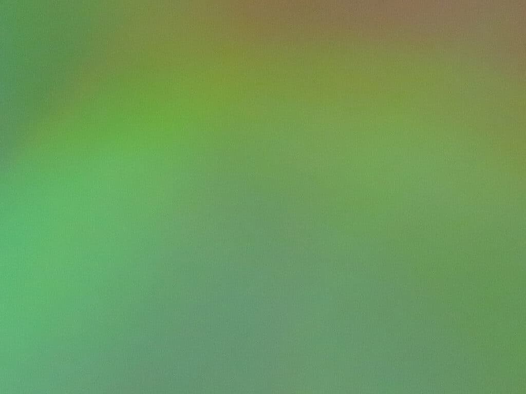 Dylan Yarbrough, Cps Lives, Rowe Elementary School, Chicago Public Schools, international students, rogers park, artist residency, chicago, photography, art, non-profit organization