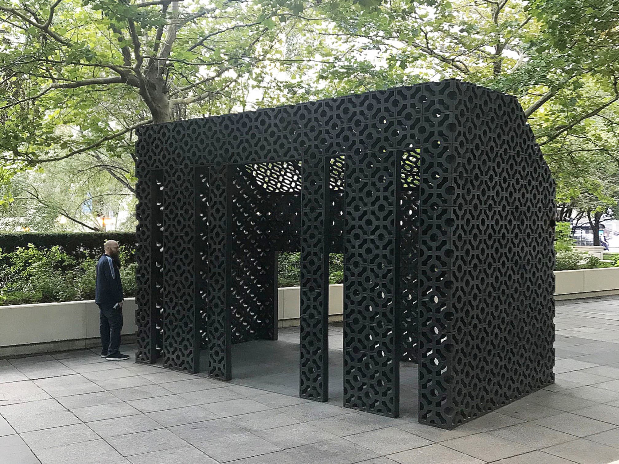 Edra Soto, CPS Lives, Screenhouse, Millennium Park, Chicago, Chicago Public Schools