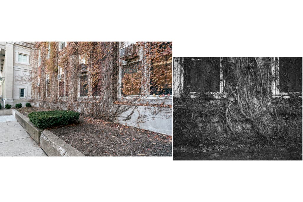 James Hosking, CPS Lives, Chicago Public Schools, Chicago Art